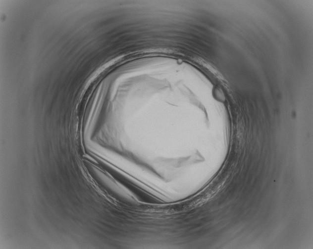 X0000083660933200703121808