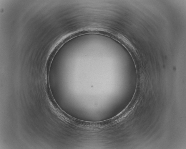 X0000083660934200703121808