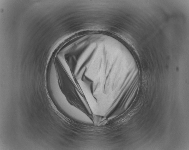 X0000083660935200703121808