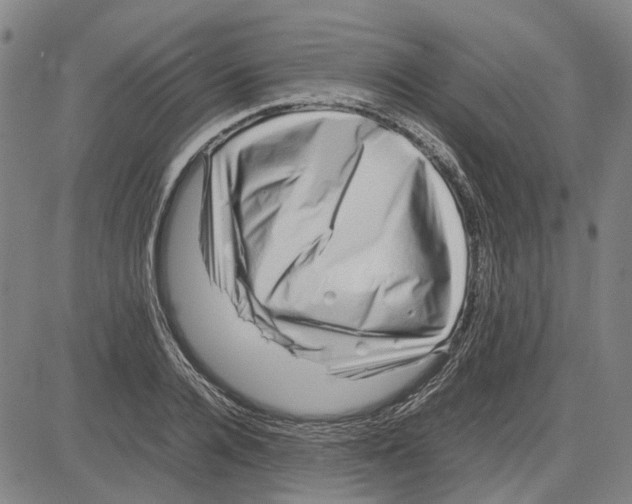 X0000083660936200703121808