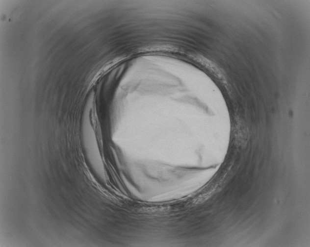 X0000083660937200703121808