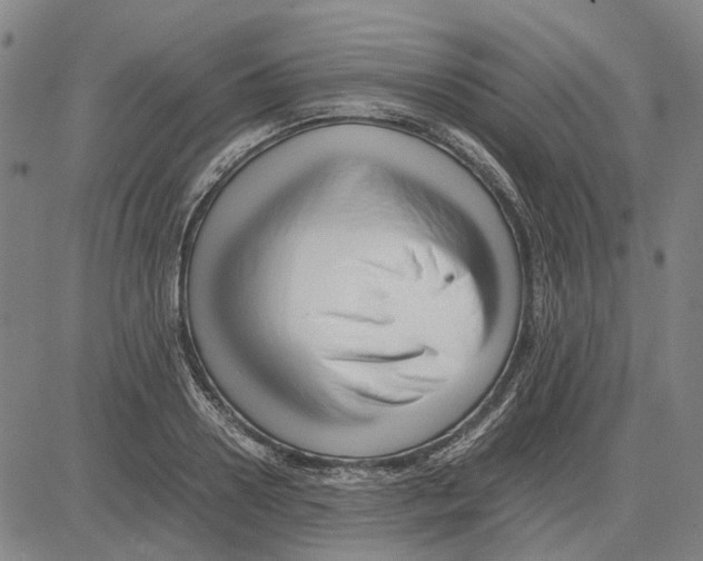 X0000083660938200703121808