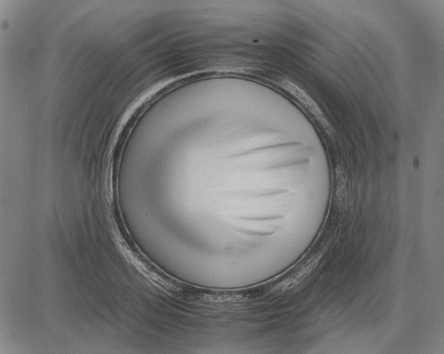 X0000083660939200703121808