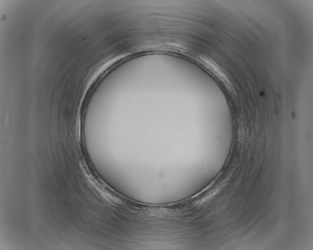 X0000083660940200703121808