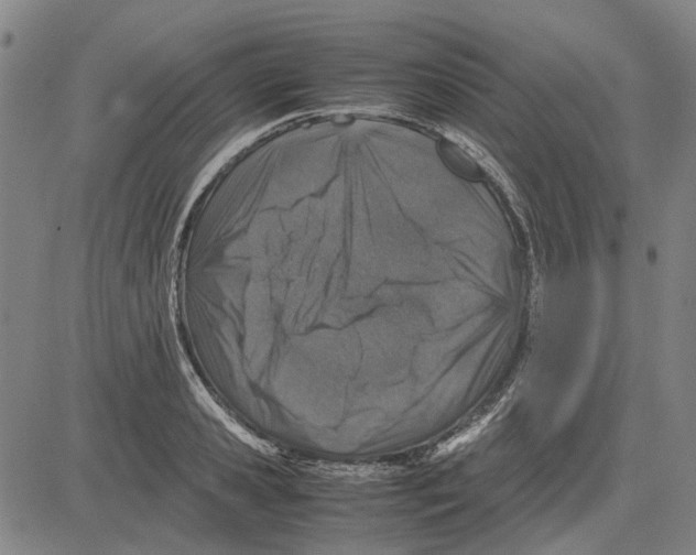 X0000083660941200703121808