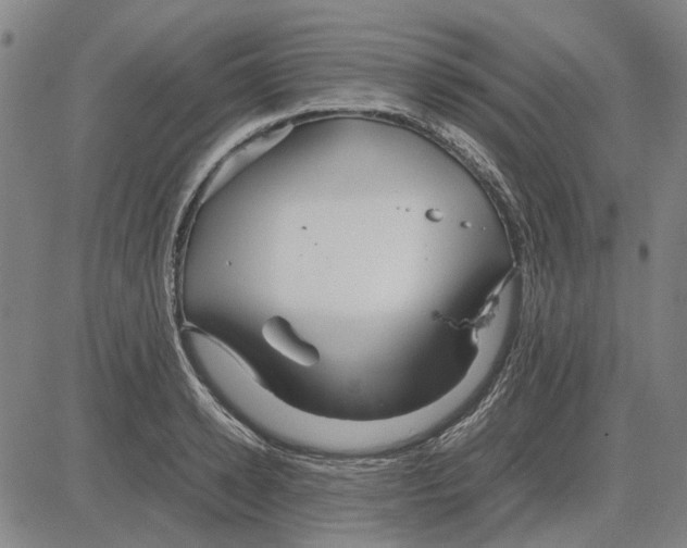 X0000083660942200703121808