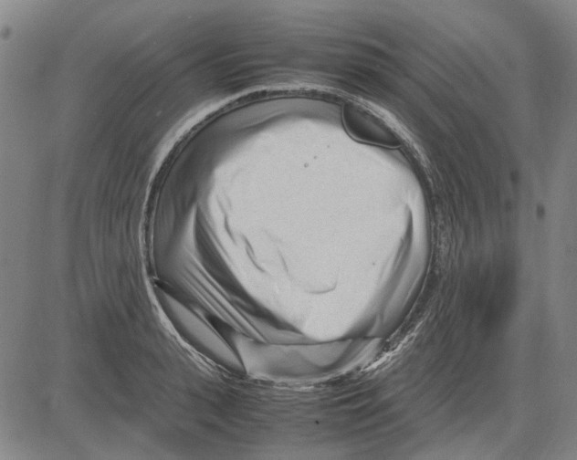 X0000083660943200703121808