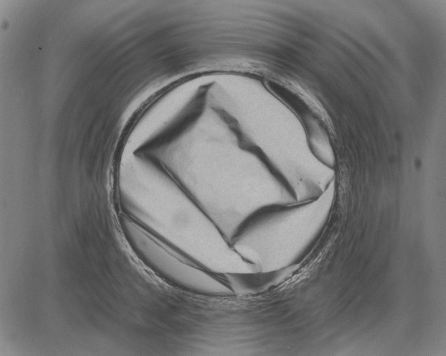 X0000083660944200703121808