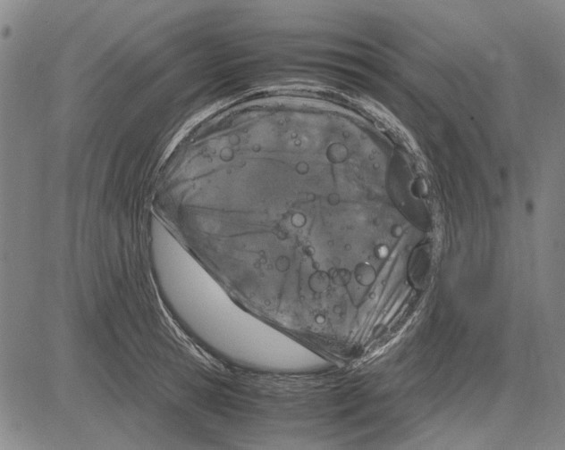 X0000083660945200703121808