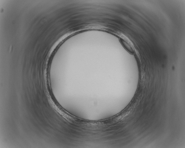 X0000083660947200703121808