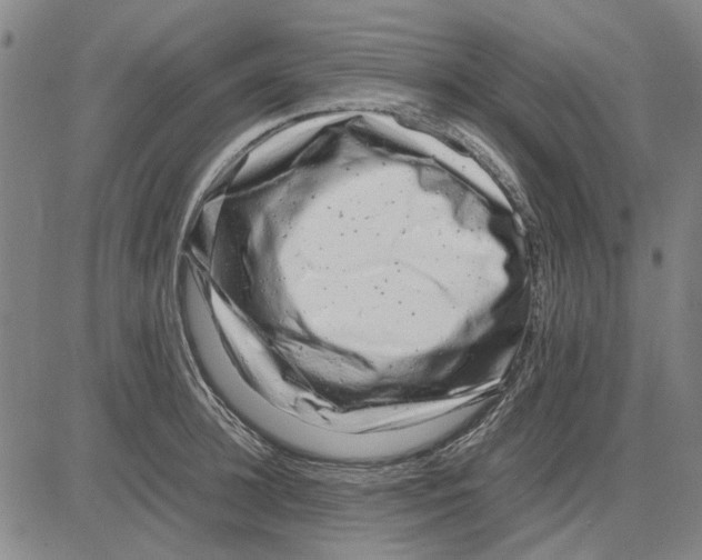 X0000083660948200703121808