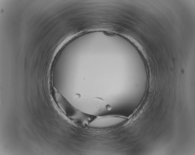 X0000083660949200703121808