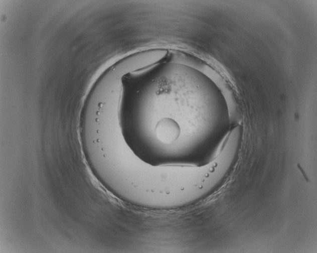 X0000083660950200703121808