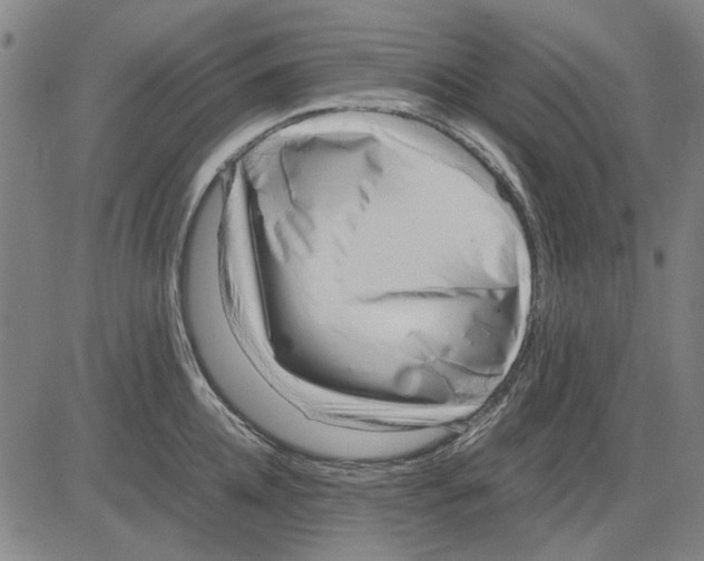 X0000083660952200703121808