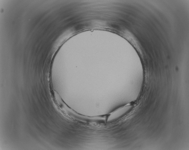 X0000083660954200703121808