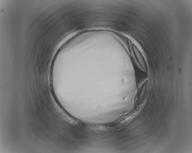 X0000083660957200703121808