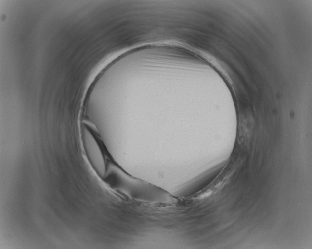 X0000083660959200703121808