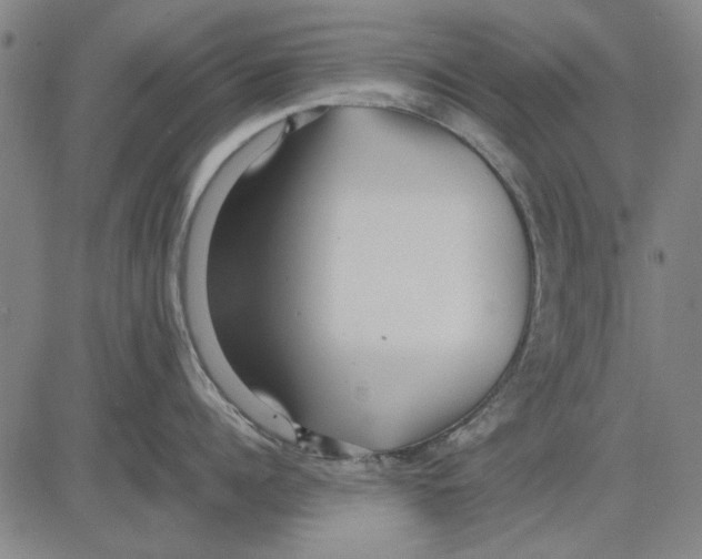 X0000083660960200703121808