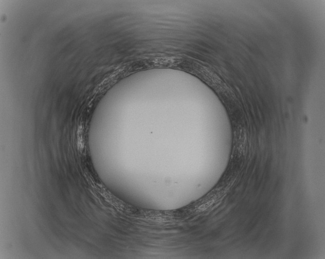 X0000083660962200703121807