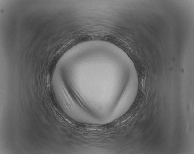 X0000083660963200703121807