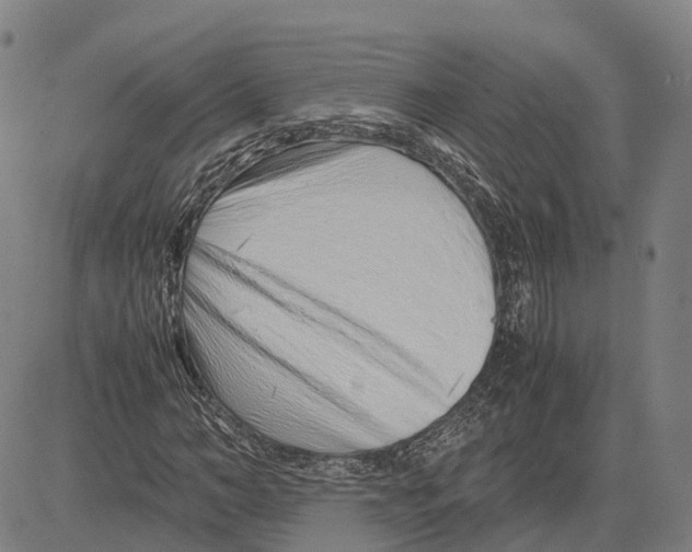 X0000083660966200703121807