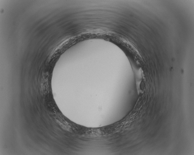 X0000083660968200703121807