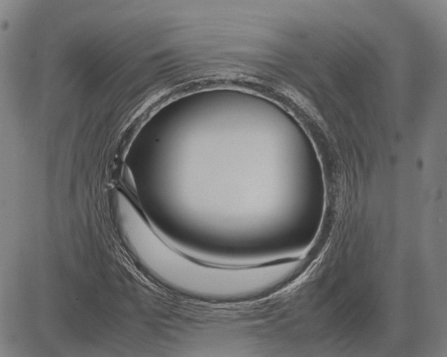 X0000083660969200703121807