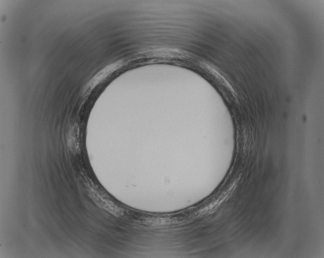 X0000083660970200703121807