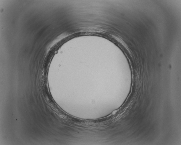 X0000083660971200703121807