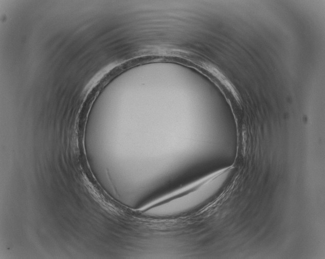 X0000083660972200703121807