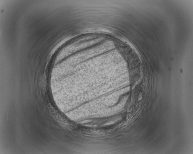 X0000083660975200703121807