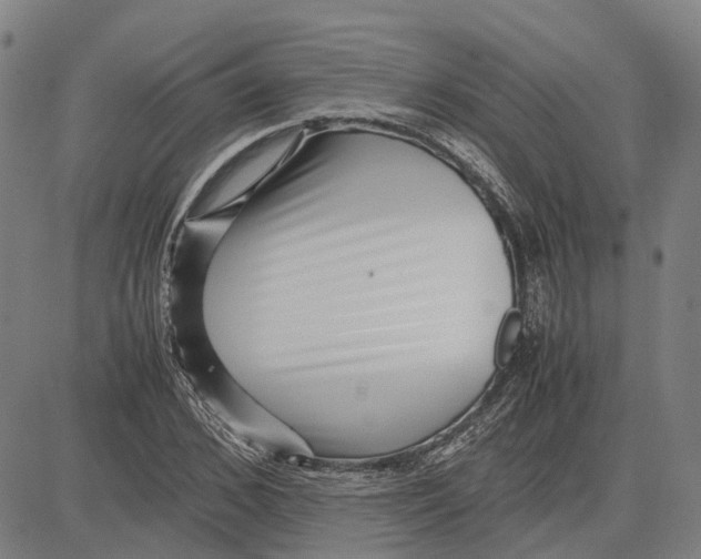 X0000083660976200703121807