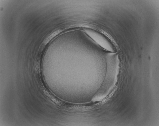 X0000083660977200703121807