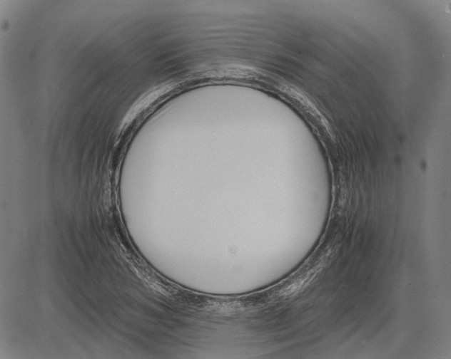 X0000083660978200703121807