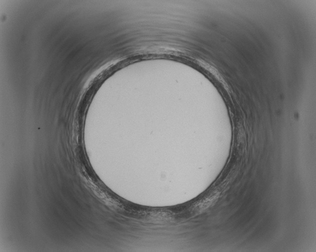 X0000083660979200703121807