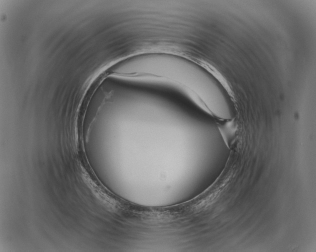 X0000083660980200703121807