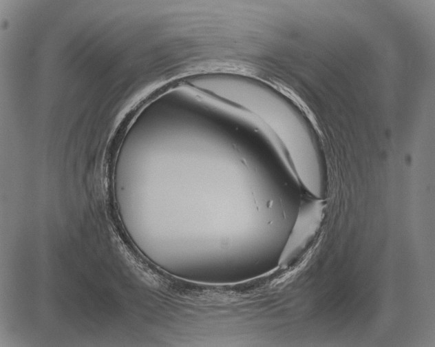 X0000083660981200703121807