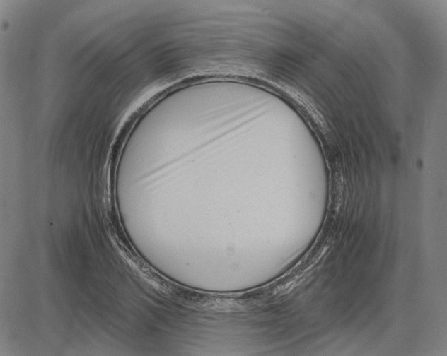 X0000083660982200703121807