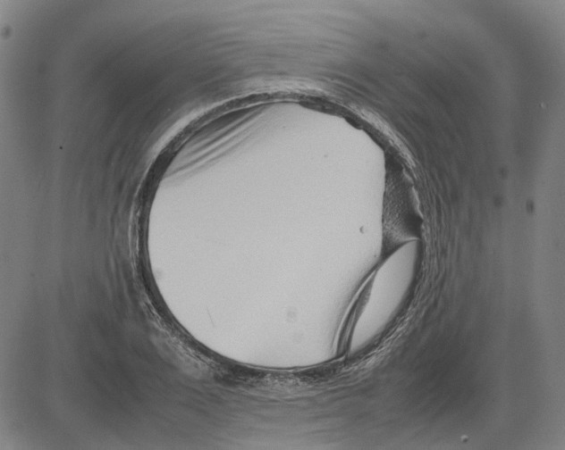 X0000083660983200703121807