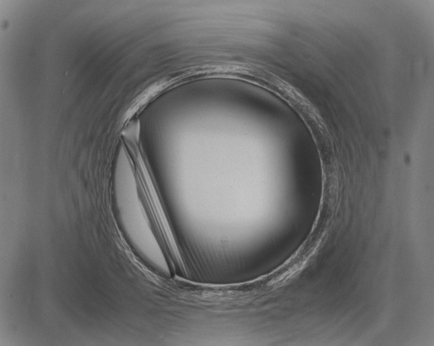 X0000083660985200703121807