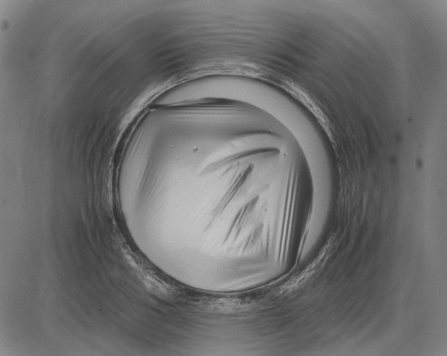 X0000083660986200703121807