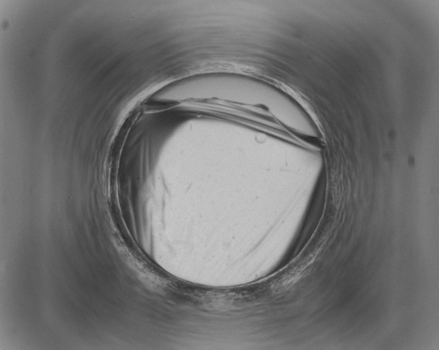 X0000083660987200703121807