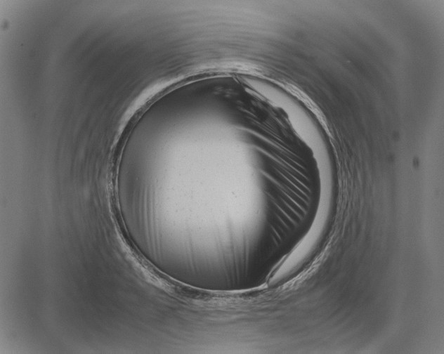 X0000083660989200703121807