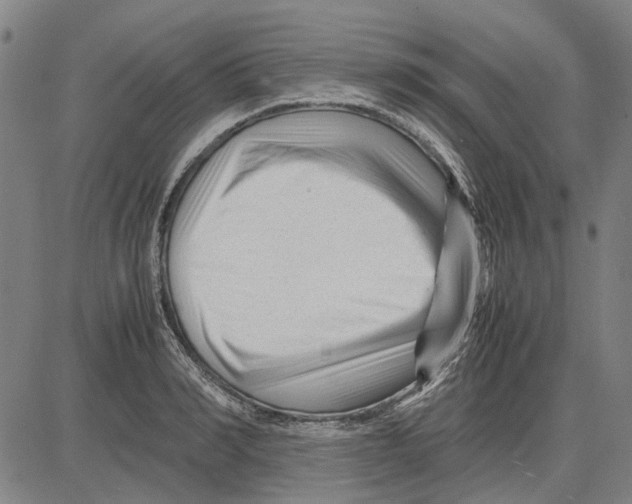 X0000083660990200703121807