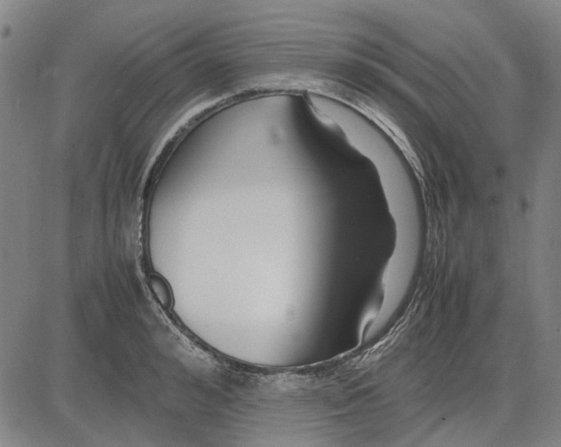 X0000083660992200703121807