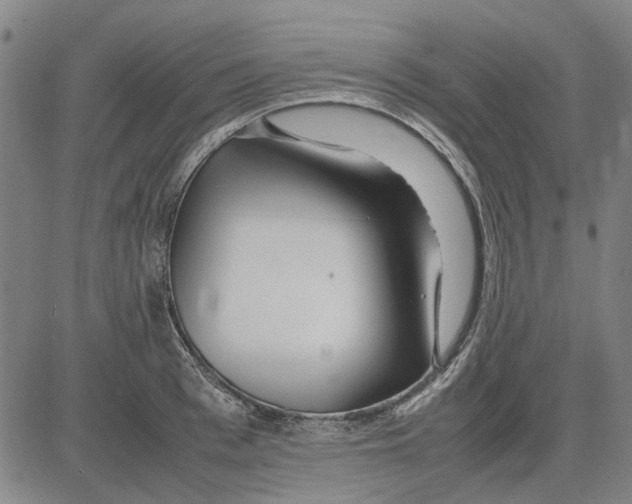 X0000083660993200703121807