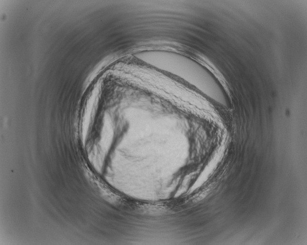 X0000083660994200703121807