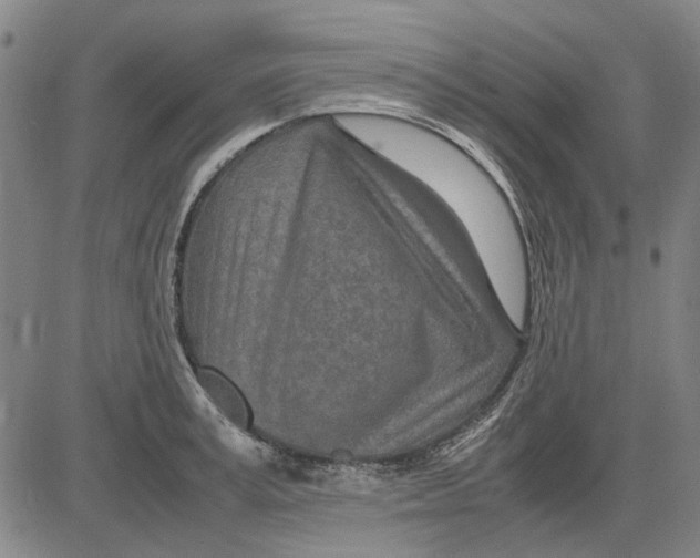 X0000083660995200703121807