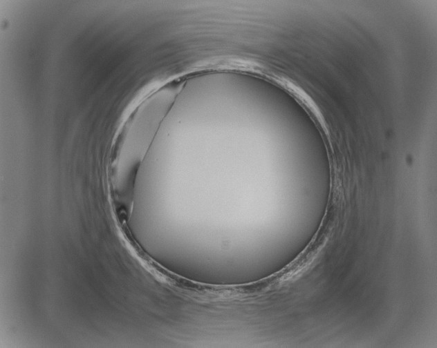 X0000083660997200703121807