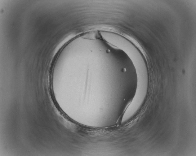 X0000083660999200703121807